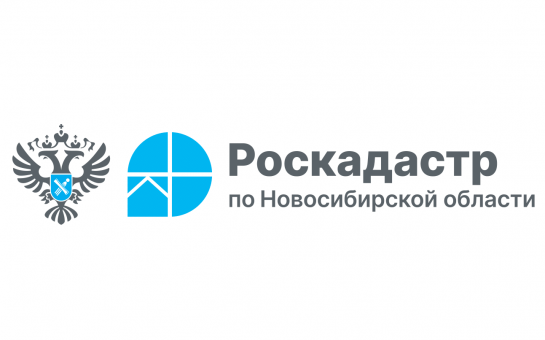 В Управлении Росреестра ответили на вопросы о запретах